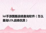 lol手游国服战绩查询软件（怎么查询LOL战绩优质）