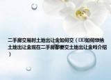 二手房交易时土地出让金如何交（﻿﻿如何缴纳土地出让金现在二手房都要交土地出让金吗介绍）