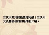 三伏天艾灸的最佳时间是（三伏天艾灸的最佳时间是详细介绍）