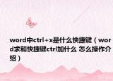 word中ctrl+x是什么快捷键（word求和快捷键ctrl加什么 怎么操作介绍）