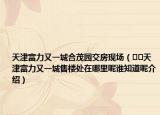 天津富力又一城合茂园交房现场（﻿﻿天津富力又一城售楼处在哪里呢谁知道呢介绍）