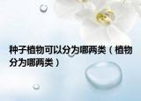 种子植物可以分为哪两类（植物分为哪两类）