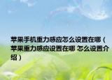 苹果手机重力感应怎么设置在哪（苹果重力感应设置在哪 怎么设置介绍）