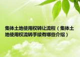 集体土地使用权转让流程（集体土地使用权流转手续有哪些介绍）