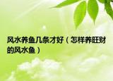 风水养鱼几条才好（怎样养旺财的风水鱼）
