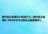 请许我尘埃落定小说说什么（请许我尘埃落定 2009年华文出版社出版的图书）