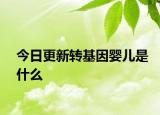 今日更新转基因婴儿是什么
