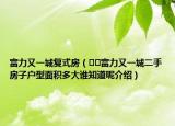 富力又一城复式房（﻿﻿富力又一城二手房子户型面积多大谁知道呢介绍）