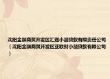 沈阳金融商贸开发区汇通小额贷款有限责任公司（沈阳金融商贸开发区亚联财小额贷款有限公司）