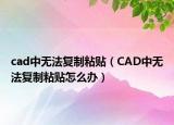 cad中无法复制粘贴（CAD中无法复制粘贴怎么办）