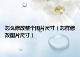怎么修改整个图片尺寸（怎样修改图片尺寸）