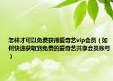 怎样才可以免费获得爱奇艺vip会员（如何快速获取到免费的爱奇艺共享会员账号）