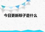 今日更新粽子是什么