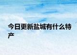 今日更新盐城有什么特产