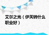 艾尔之光（伊芙转什么职业好）