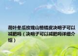 荷叶冬瓜玫瑰山楂橘皮决明子可以减肥吗（决明子可以减肥吗详细介绍）