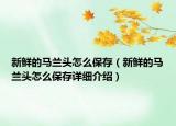 新鲜的马兰头怎么保存（新鲜的马兰头怎么保存详细介绍）