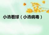 小浩看球（小浩病毒）