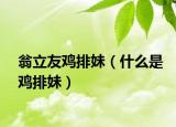 翁立友鸡排妹（什么是鸡排妹）