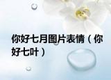 你好七月图片表情（你好七叶）