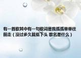 有一首歌其中有一句歌词是我孤孤单单往前走（没过多久就低下头 歌名是什么）
