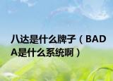 八达是什么牌子（BADA是什么系统啊）