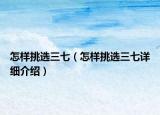 怎样挑选三七（怎样挑选三七详细介绍）