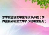 想学做蛋糕去哪里培训多少钱（学做蛋糕到哪里去学多少钱哪里最好）