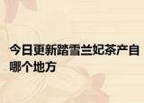 今日更新踏雪兰妃茶产自哪个地方