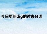 今日更新dig的过去分词