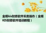 金蝶kis财务软件实务操作（金蝶KIS财务软件培训教程）