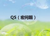 QS（宏问题）