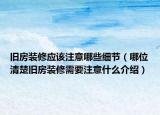 旧房装修应该注意哪些细节（哪位清楚旧房装修需要注意什么介绍）