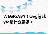 WEGIGABY（wegigabyte是什么意思）