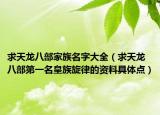 求天龙八部家族名字大全（求天龙八部第一名皇族旋律的资料具体点）