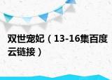 双世宠妃（13-16集百度云链接）