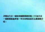 津南富力又一城和茂园新楼盘价格（﻿﻿富力又一城新楼盘是多钱一平方米呢应该怎么查询呢介绍）