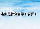 走你是什么意思（求解）