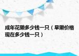成年花獭多少钱一只（旱獭价格现在多少钱一只）