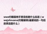 wwe约翰塞纳手里拿的是什么标语（wwejohncena(约翰塞纳)最爱说的一句话的英语是什么）