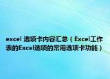 excel 选项卡内容汇总（Excel工作表的Excel选项的常用选项卡功能）