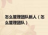 怎么管理团队新人（怎么管理团队）