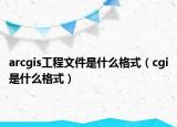 arcgis工程文件是什么格式（cgi是什么格式）