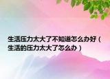 生活压力太大了不知道怎么办好（生活的压力太大了怎么办）