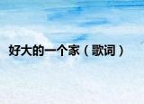 好大的一个家（歌词）