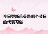 今日更新茱萸是哪个节日的代表习俗