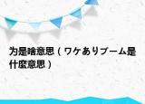 为是啥意思（ワケありブーム是什麼意思）