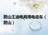 爬山王油电两用电动车（爬山）