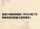 宝宝14周发育视频（怀孕14周了孕妈身体变化和胎儿发育情况）