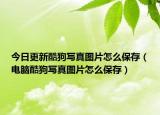 今日更新酷狗写真图片怎么保存（电脑酷狗写真图片怎么保存）